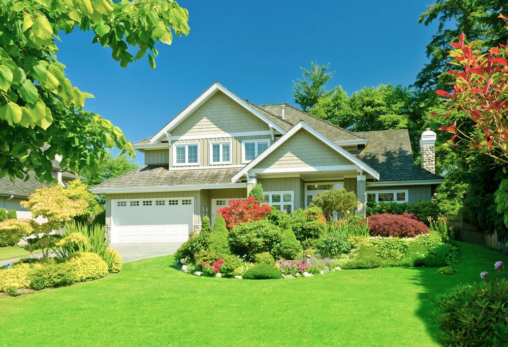Green front yard lawn
